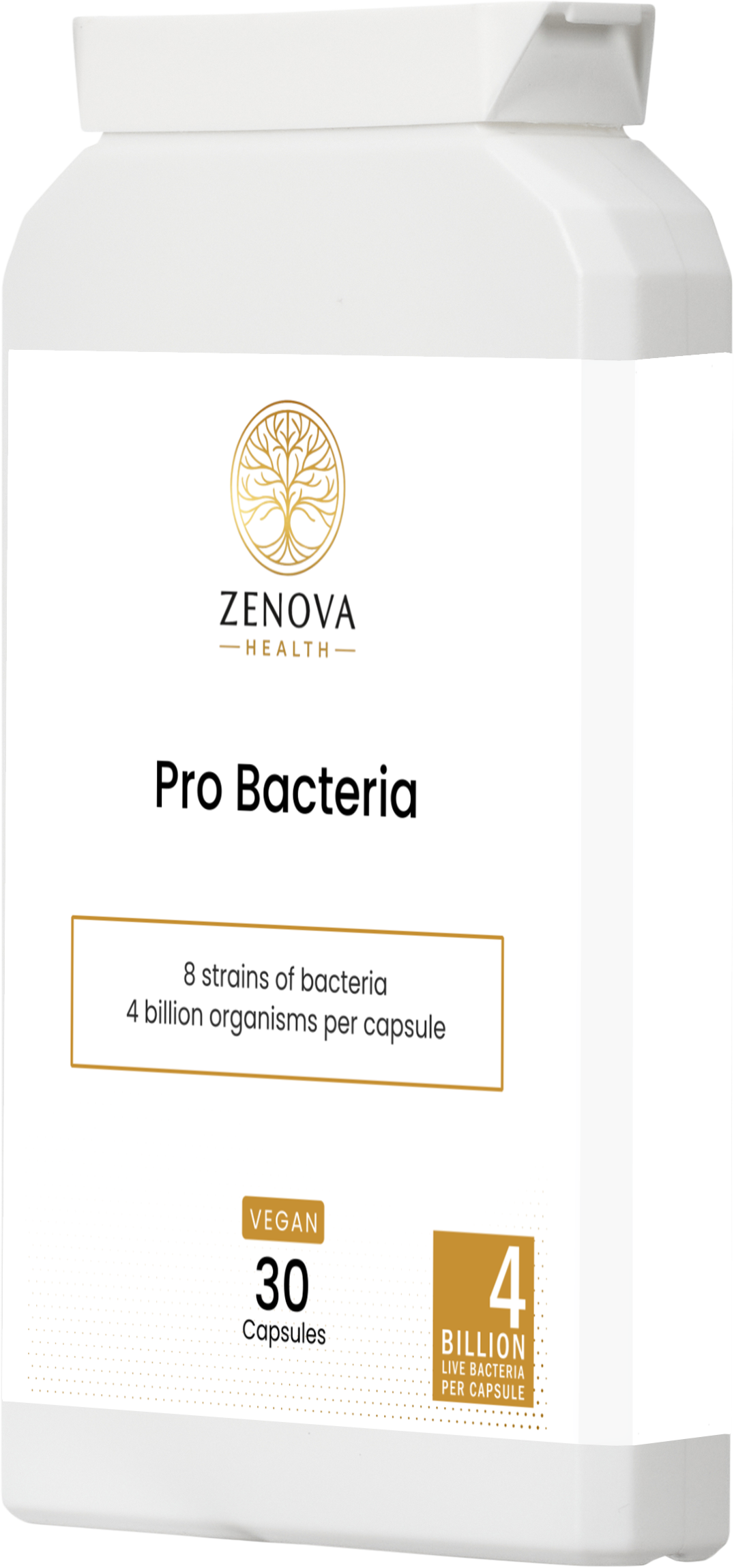 Pro Bacteria