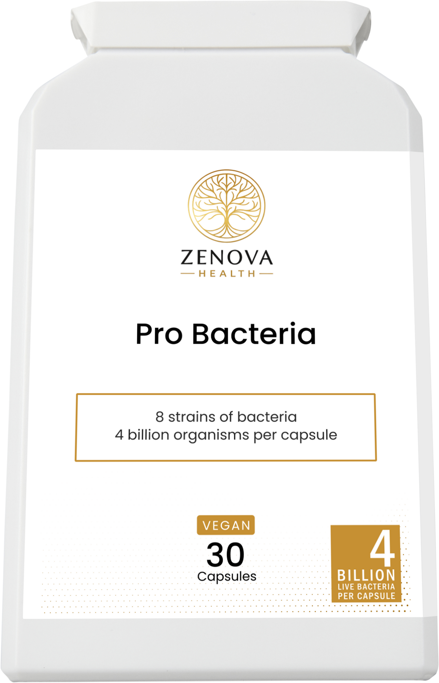 Pro Bacteria