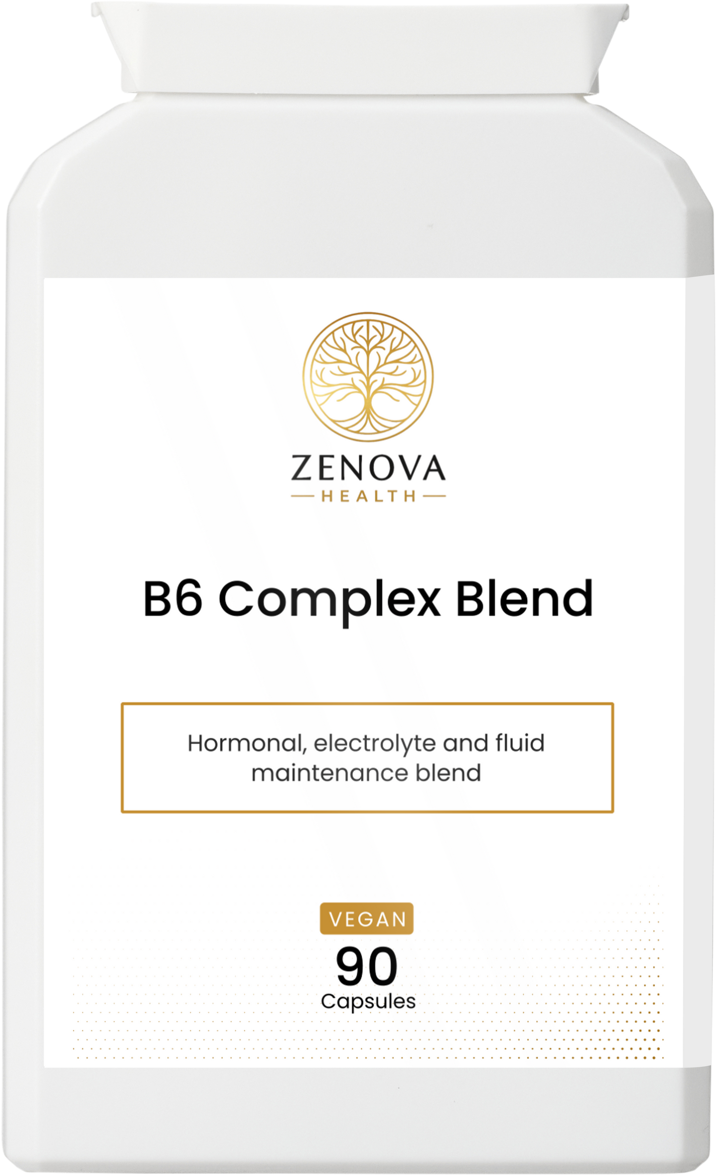 B6 Complex Blend